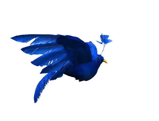 simulation Phoenix bird dark blue feathers spreading wings bird 20x28cm model handicraft prop,home garden decoration gift p2102